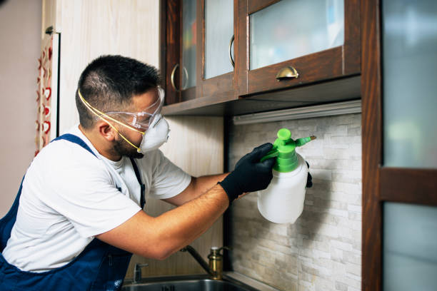 Best Local Pest Control Services  in Channelview, TX