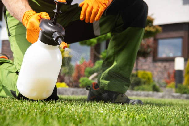 Best Rodent Control Near Me  in Channelview, TX