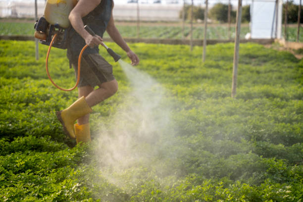 Reliable Channelview, TX Pest Control Solutions