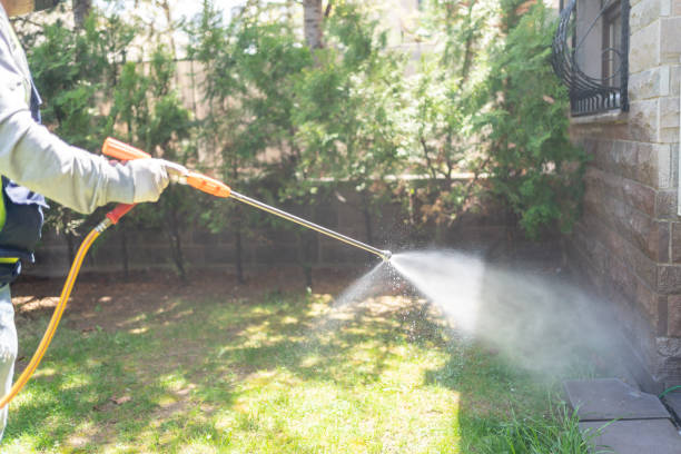 Insect Control in Channelview, TX
