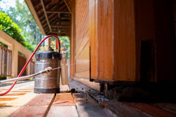 Best Cockroach Control Services  in Channelview, TX