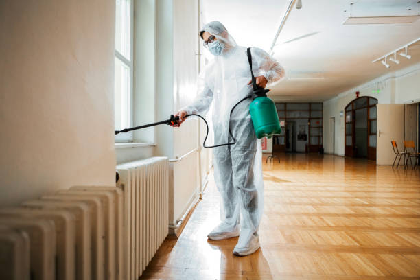 Best Flea Control Services  in Channelview, TX