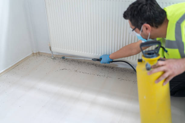 Best Mosquito Control Services  in Channelview, TX
