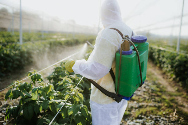 Best Affordable Pest Control Services  in Channelview, TX